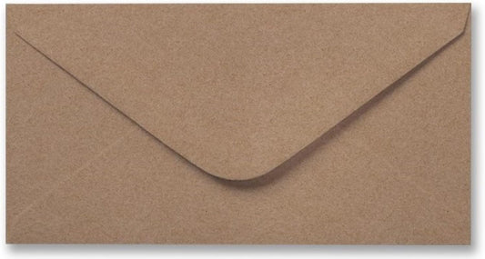 1 x Brown Kraft Envelope